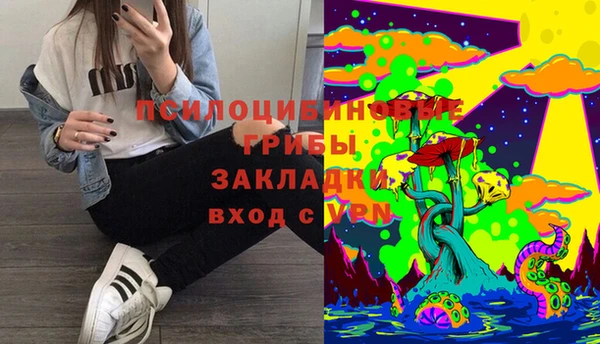 герыч Богородск