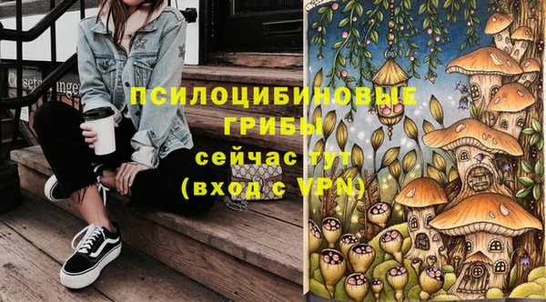 герыч Богородск