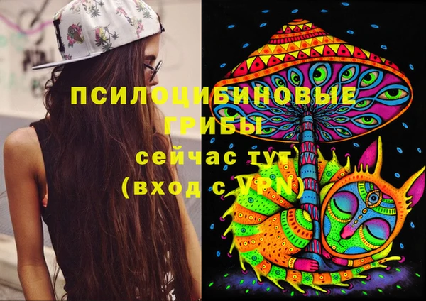 ПСИЛОЦИБИНОВЫЕ ГРИБЫ Богородицк