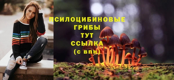 герыч Богородск