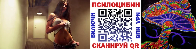 ОМГ ОМГ ТОР  Новотроицк  Псилоцибиновые грибы MAGIC MUSHROOMS 